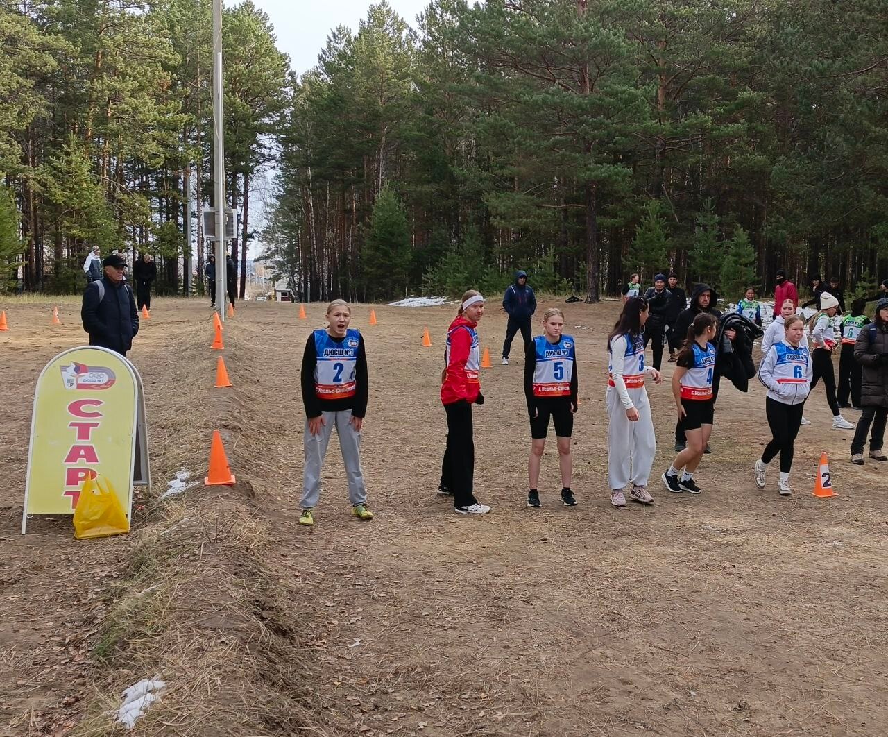 На пьедестале области!.