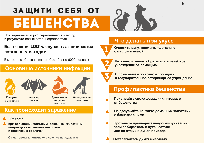 Об эпидемической ситуации по бешенству.