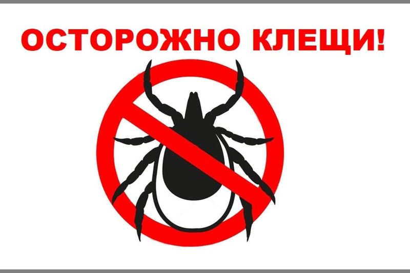 Внимание! Опасность клещей в Усольском районе и г. Усолье-Сибирское!.