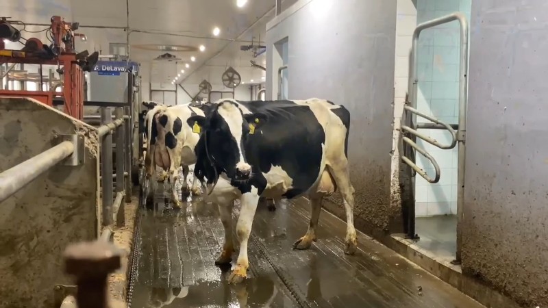 Открытие агропромышленной недели.