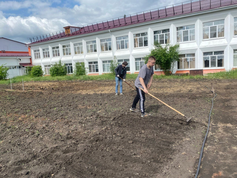 Трудовая бригада в действии!.